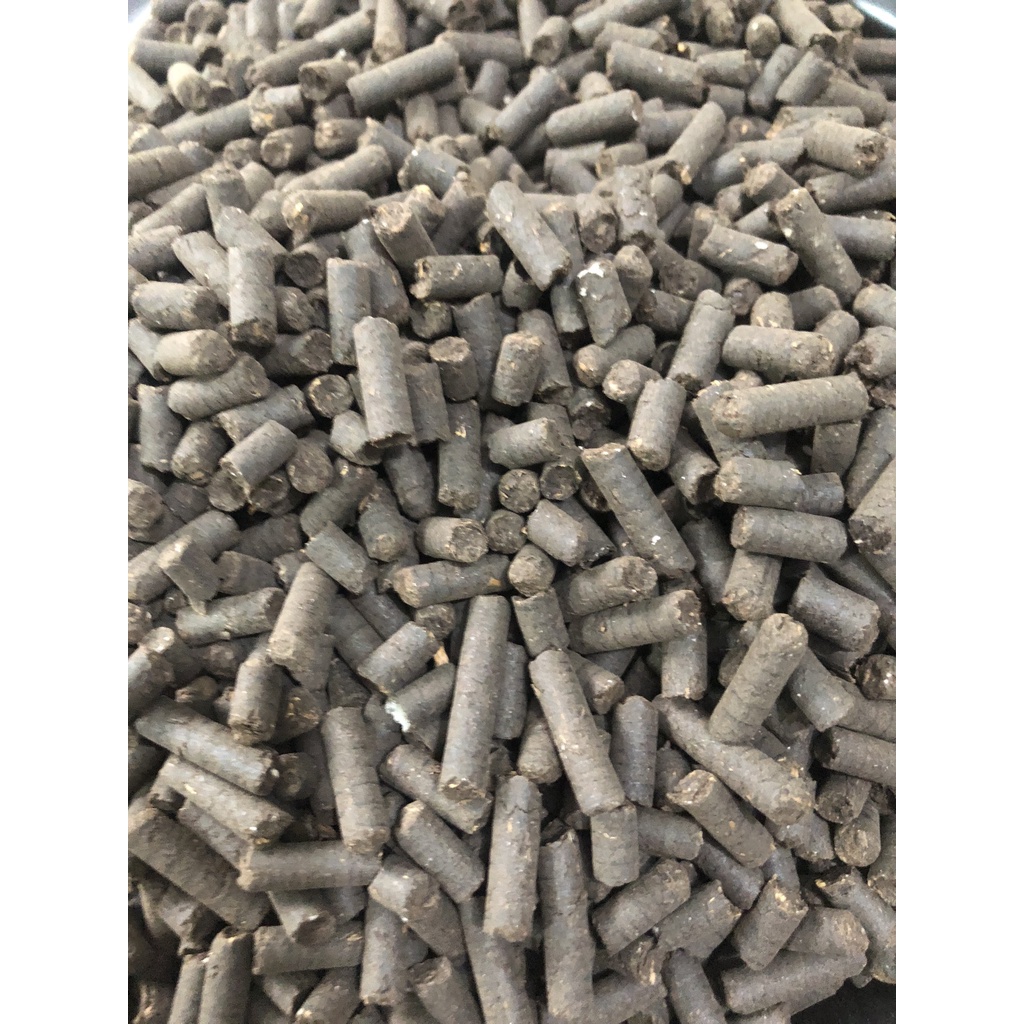 Phân tan chậm Bounce Back nhập khẩu Úc dành cho cây cảnh trong và và sân vườn