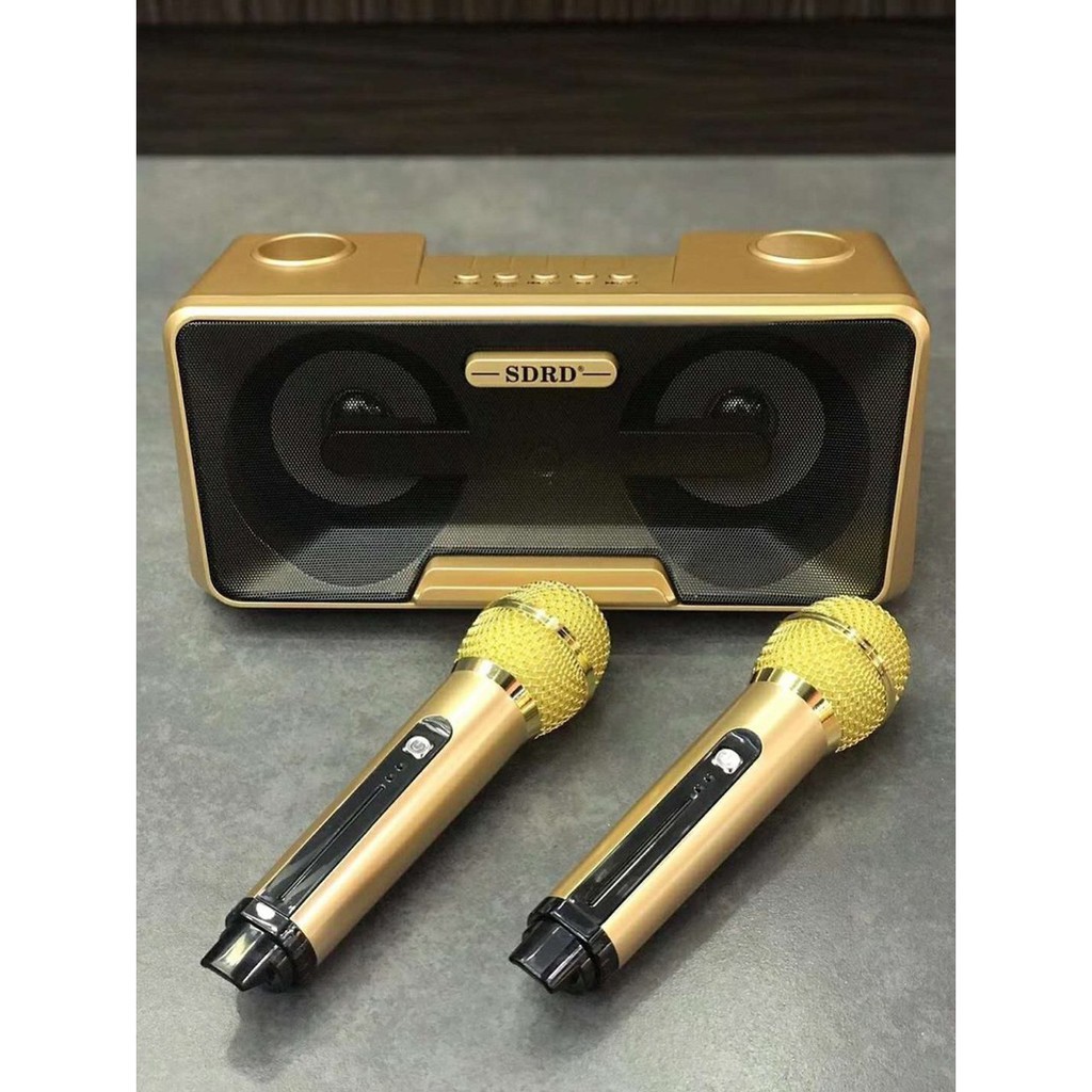 Loa Karaoke mini SD-301, 2 micro không dây pin sạc 2022