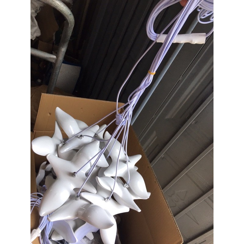 Đèn chim đục 10 con