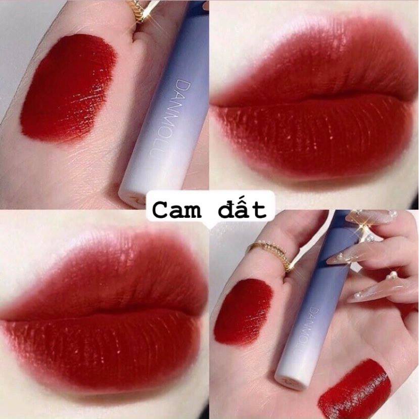 Set 5 cây son lì Danmolu nội địa Trung tone màu nude, nâu đỏ, cam đất đẹp | BigBuy360 - bigbuy360.vn