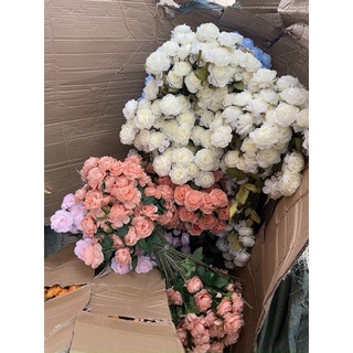 trà 2 bông 1 nụ