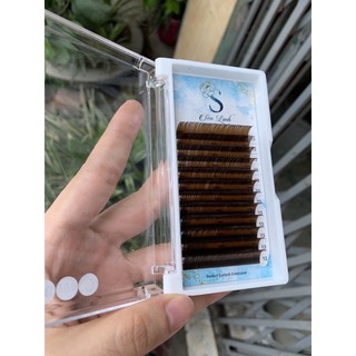 Mi nâu nối mi