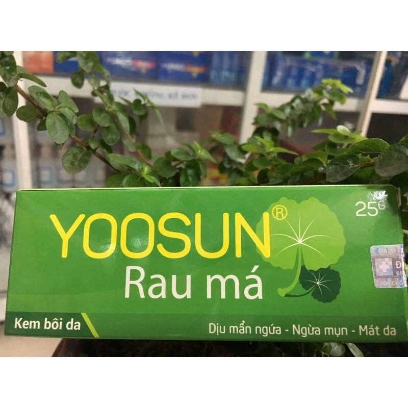 Kem bôi da YOOSUN Rau Má