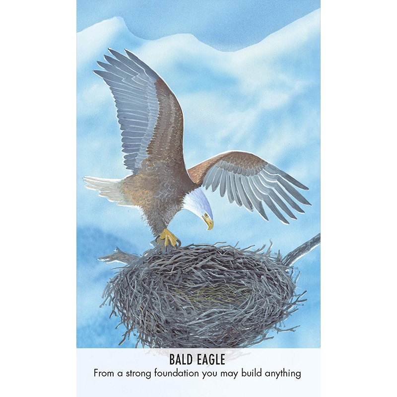 Bộ Bài Bird Messages Cards (Mystic House Tarot Shop) - Bài Gốc Authentic Chính Hãng 100%