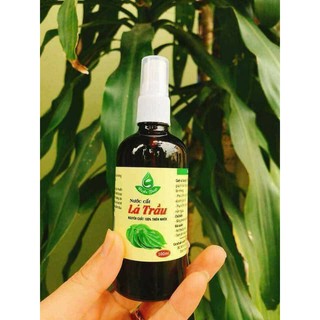 Nước cất lá trầu không
