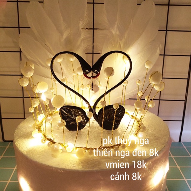 5 Đôi thiên nga trái tim đen,trắng