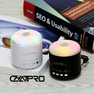 Loa Bluetooth WS Y90B