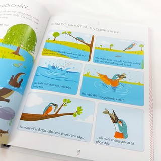 Sách - Bách khoa thư tiểu học Larousse (lẻ cuốn)