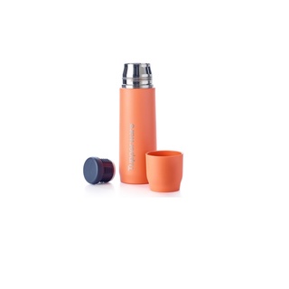 Bình giữ nhiệt Tupp Buddy 520ml