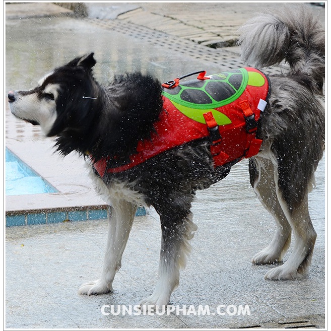 Áo phao đi bơi chuyên dụng cho chó mèo