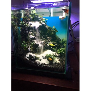 Thác Cát Đá Đen Gia Lai Size cao 20cm đến 24cm Cho Bể Cá ( Tặng cát )