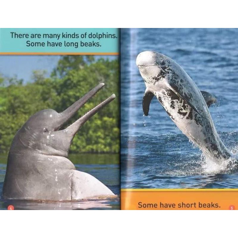 NATIONAL GEOGRAPHIC PRE READERS