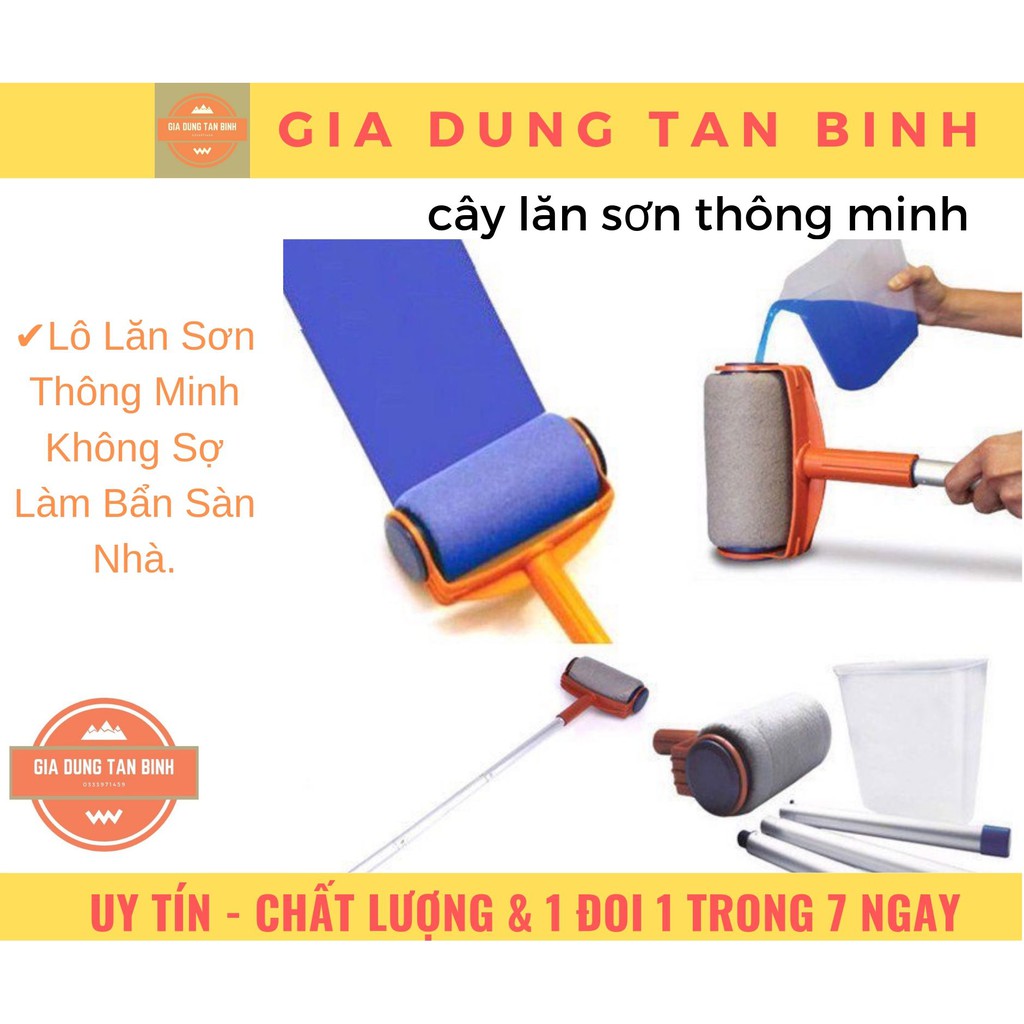cây lăn sơn thông minh
