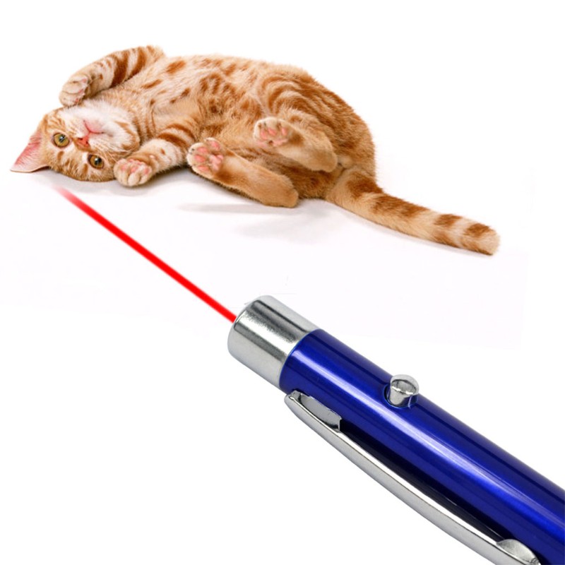 Bút laser tia đỏ 5mw 650nm tiện dụng