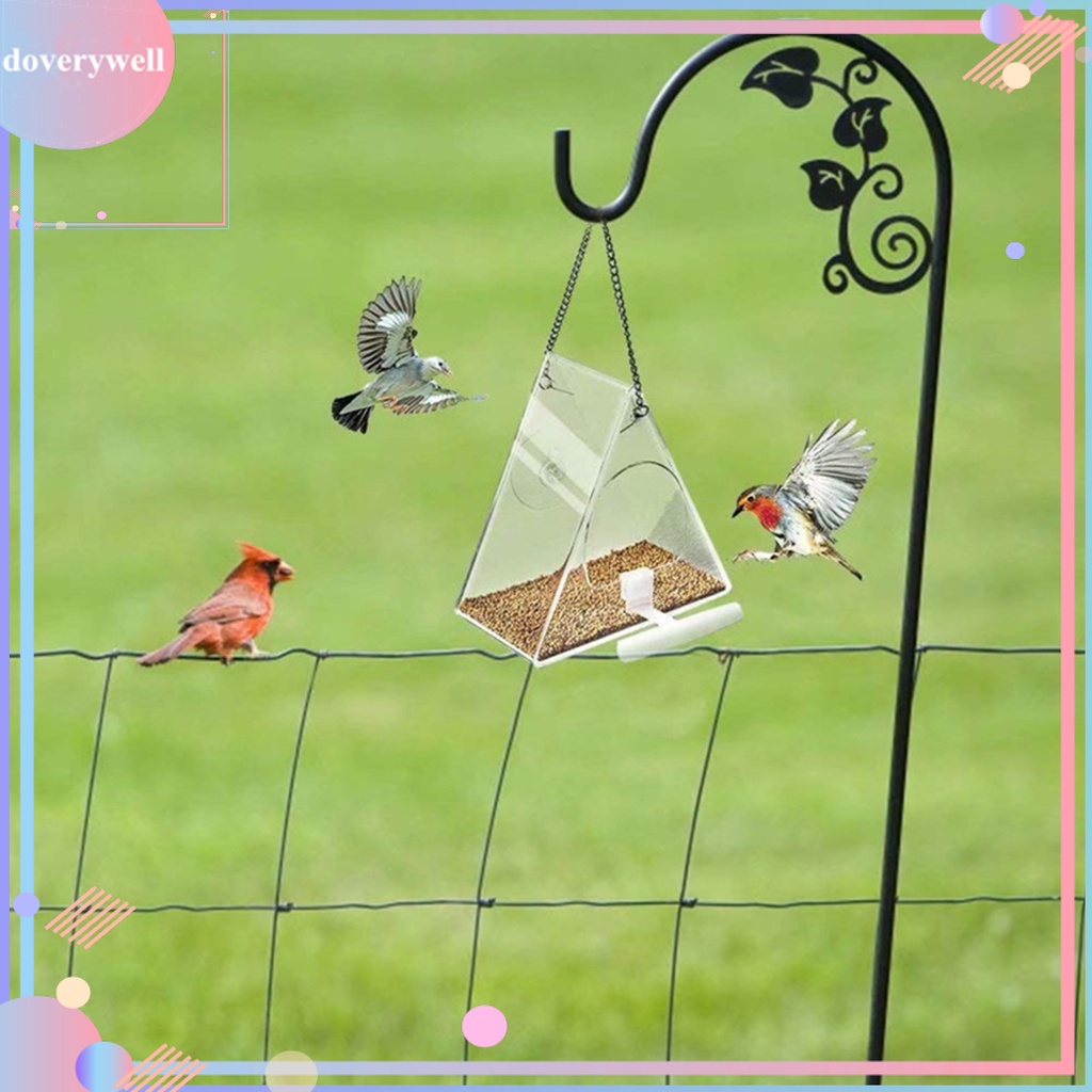 Hộp đựng thức ăn cho chim trong suốt không dễ bay màu kèm dây xích