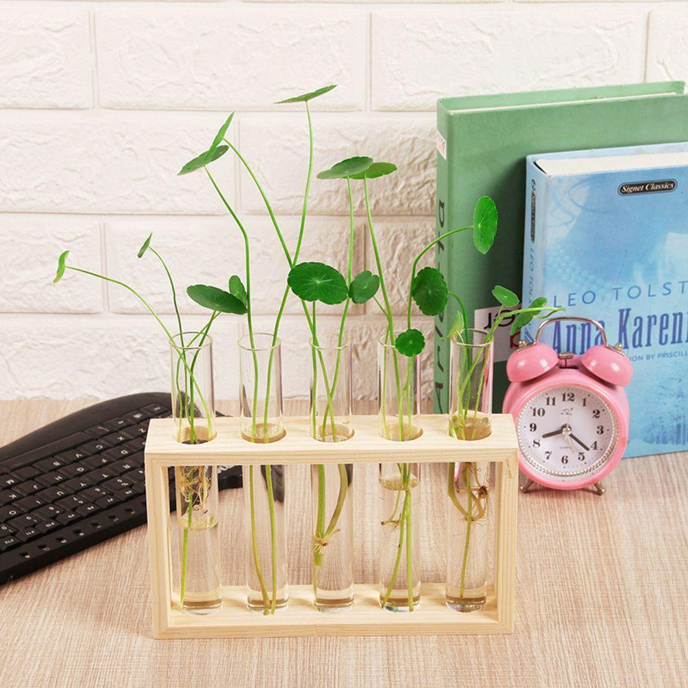 Bình Hoa Thủy Canh Thiết Kế Hiện Đại Trang Trí Nhà Cửa|Bình Hoa Thủy Tinh Thiết Kế Sang Trọng Cao Cấp