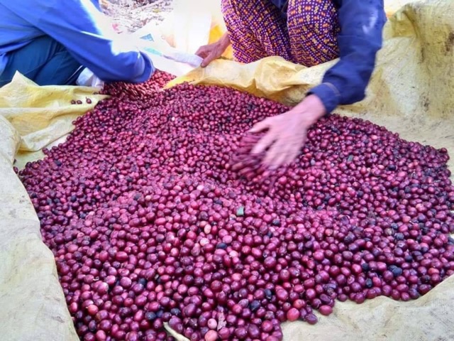 Combo 1kg Mika nguyên chất và 1kg Mika trộn | BigBuy360 - bigbuy360.vn