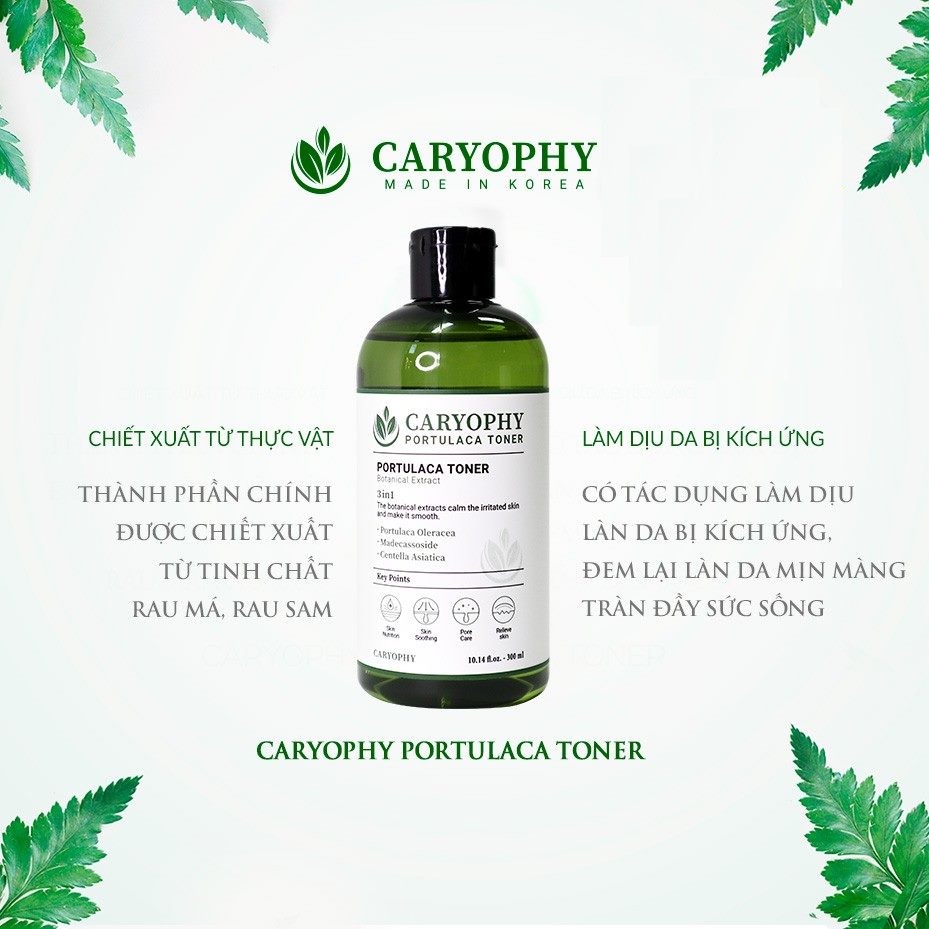 Combo Giảm Mụn, Làm Dịu Da  Caryophy Portulaca ( Toner 300ml + Serum 10ml)