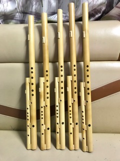 Sáo mèo kép (free ship)