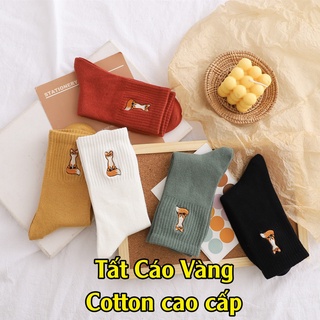 Bít tất vớ nam nữ nữ cổ cao hàn quốc siêu dày cao cấp sét tất cao cổ cute - T6