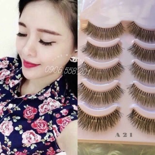 Lông Mi Giả