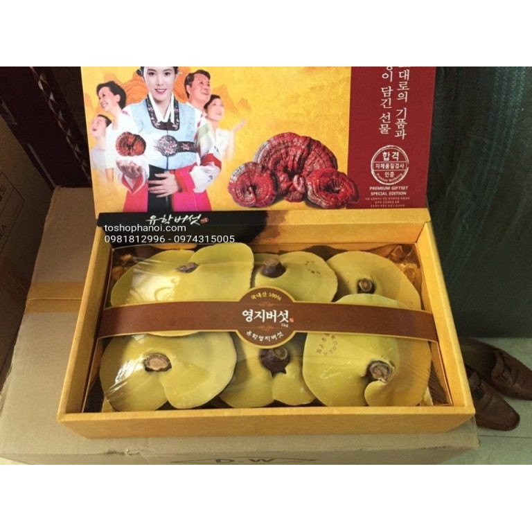 Nấm Linh Chi Trắng Hàn Hộp Giấy UHak