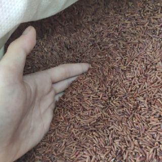Bột Gạo Lứt Bảo Minh 750gr