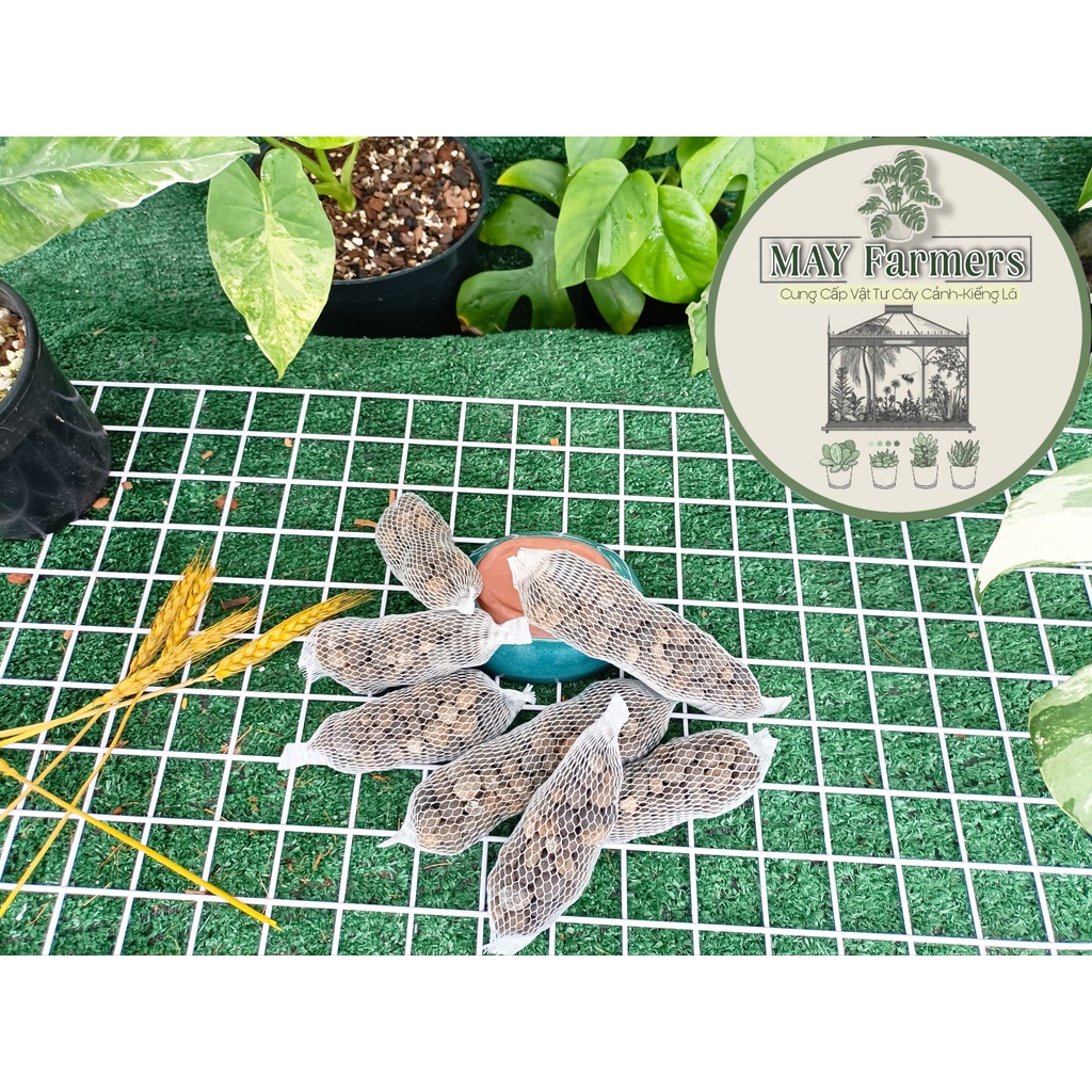 ☘️ Phân Dê Túi Lưới 12cm - Bón Cho Hoa Lan  Cây Cảnh