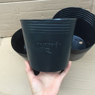Bộ 100 Chậu trồng Hoa, Cây cảnh C6 (14x12cm)