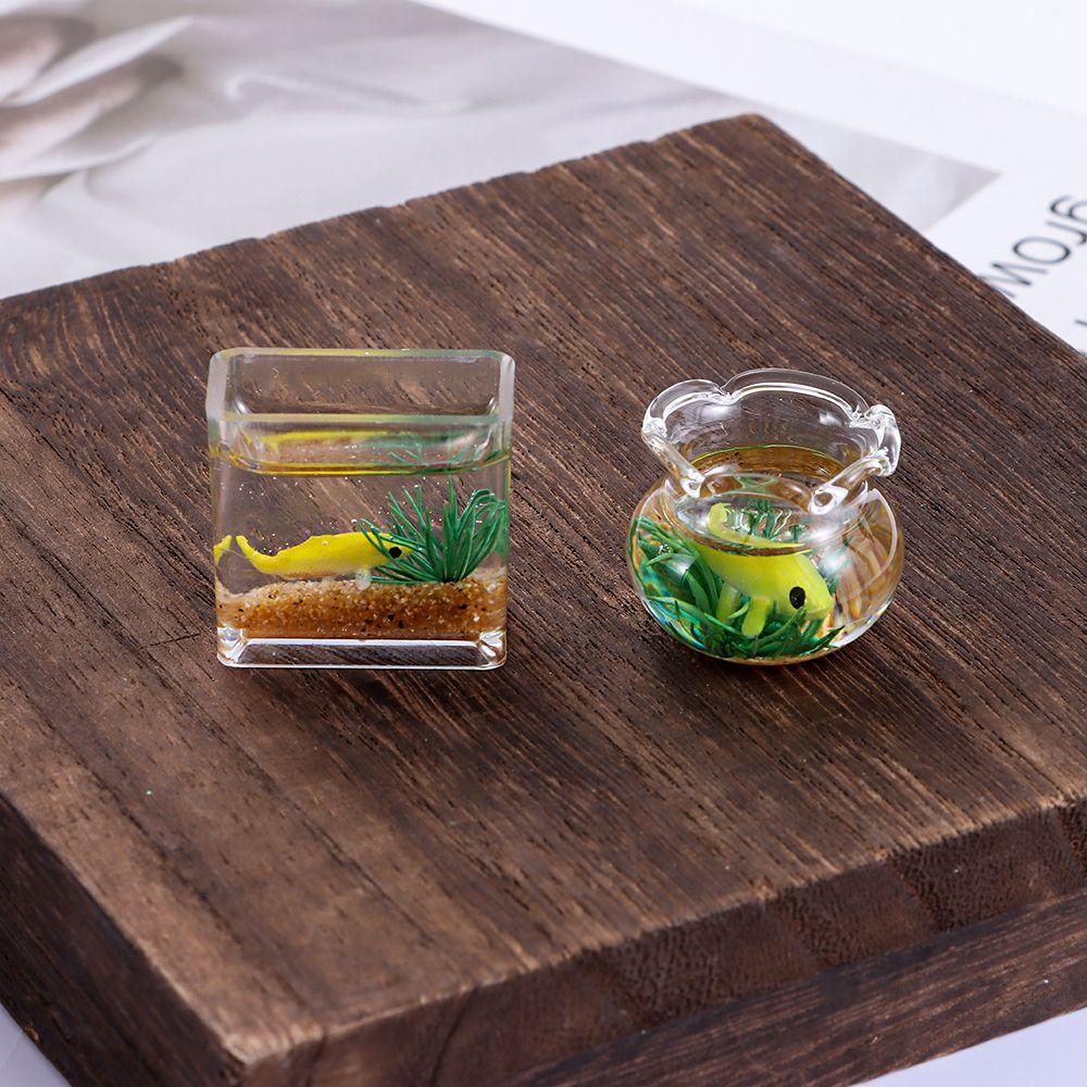 Bể Cá Mini Bằng Kính Màu Cầu Vồng