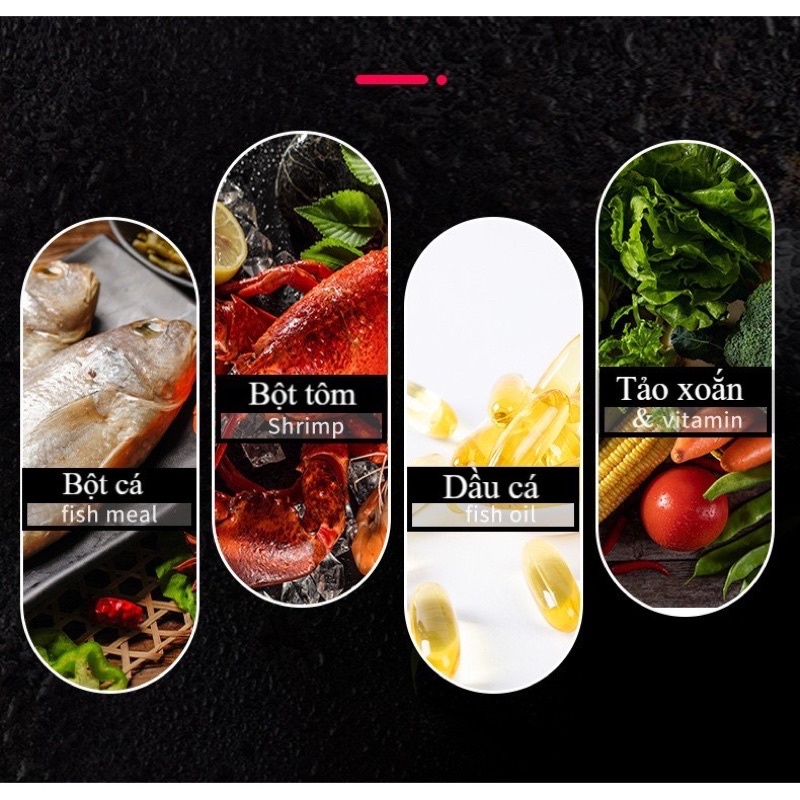 CÁM CÁ RANCHU HẠT CHÌM 450G - THỨC ĂN DINH DƯỠNG GIÚP CÁ TĂNG SIZE LÊN MÀU VÀ HỖ TRỢ TIÊU HOÁ