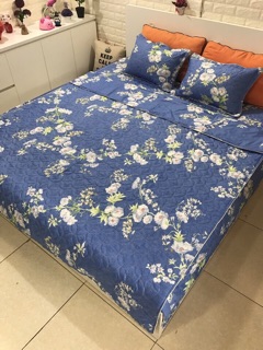 set ga phủ poly