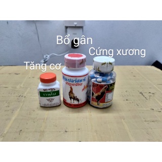 Combo 3 loại thuốc bổ cho gà chọi, gà nòi,gà tre