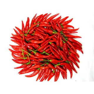 Hạt giống Ớt chỉ thiên F1 (ớt hiểm)