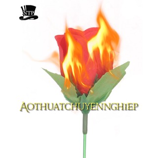 Ảo thuật đuốc lửa thành hoa hồng - Torch to Rose