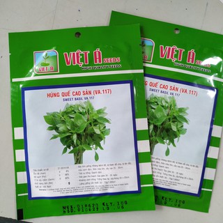 Hạt giống Húng Quế cao sản 5gr
