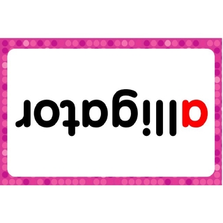 Flashcard Phonic Show 1