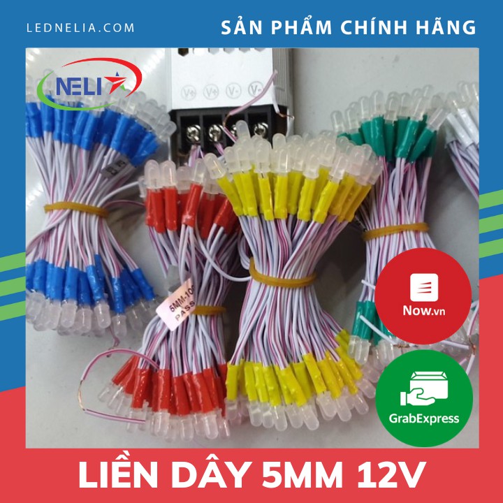 [Cụm led 100 bóng] Dây led liền dây 5mm điện áp 12V DC.