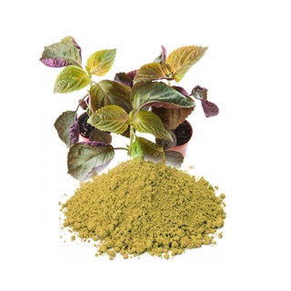 Bột tía tô nguyên chất [200G]