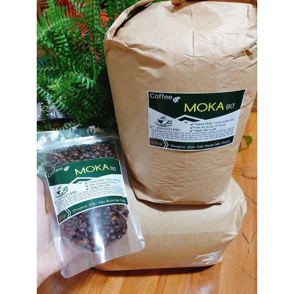 Cafe MoKa 5kg