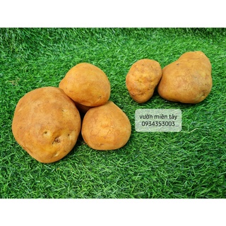 Khoai tây 500g - 1kg
