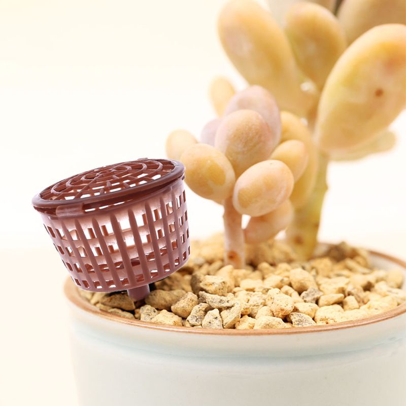 ✿ Giỏ Nhựa Trồng Cây Bonsai Tự Động Phân Hủy Vỏ Bọc Vòm Cho Nông Nghiệp