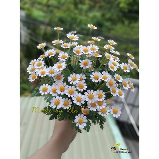 Set Nguyên Liệu Làm Hoa Cúc Tana siêu xinh 🌼