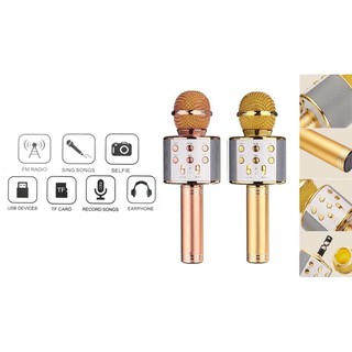 Micro karaoke WS 858 cao cấp