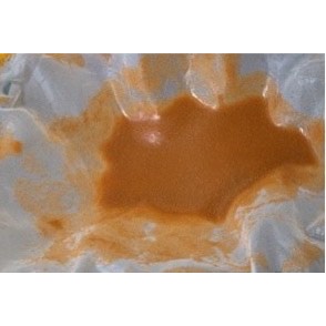 Thức ăn cho ca artamia mỹ Petrel Brand