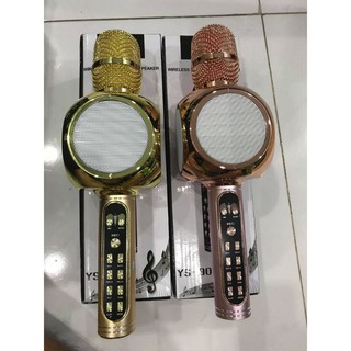 Loa hát karaoke YS 90