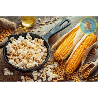 Bắp Nổ Rang Bơ - Bắp Mỹ Rang Nhập Mỹ, Canada 1KG | Bếp Nhà Đậu - Thế giới ăn vặt - Ăn sập Sài Gòn