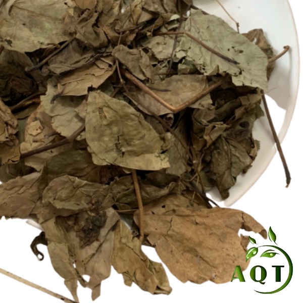 Lá Vông Nem 1KG Hỗ Trợ Người Mất Ngủ, Lá Vông Khô Giúp Ngủ Ngon, Làm Teo Trĩ