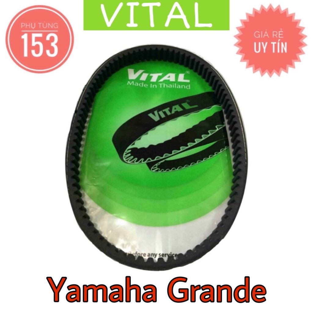 Dây Curoa Grande hiệu Vital (Thái Lan) - Dây curoa xe tay ga - PHỤ TÙNG 153