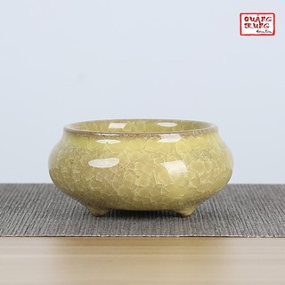 Chậu cây mini bằng gốm sứ dùng để trang trí